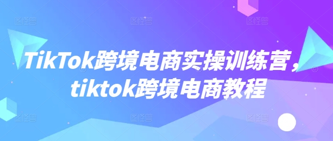 TikTok跨境电商实操训练营，tiktok跨境电商教程-第一资源站