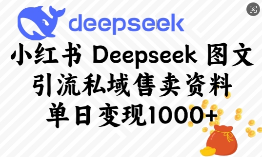 小红书Deepseek图文引流私域售卖资料，单日变现多张-第一资源站