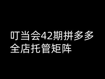 叮当会拼多多打爆班原创高阶技术第42期，拼多多全店托管矩阵-第一资源站