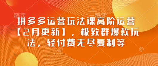 拼多多运营玩法课高阶运营【2月更新】，极致群爆款玩法，轻付费无尽复制等-第一资源站