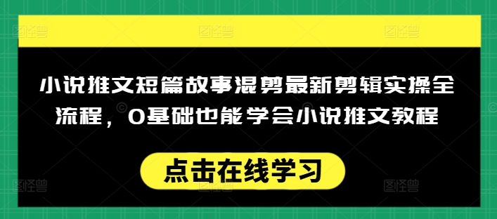 小说推文短篇故事混剪最新剪辑实操全流程，0基础也能学会小说推文教程，肯干多发日入多张-第一资源站