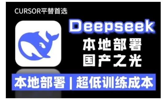 2025年deepseek R1 大型模型本地安装部署(文件+教程)本地部署，超低训练成本-第一资源站