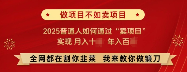 必看，做项目不如卖项目，2025普通人如何通过“卖项目”实现月入十个，年入百个-第一资源站