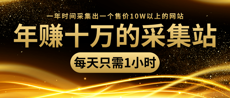 年赚十万的采集站，每天却只需要1小时，一年时间采集出一个售价10W以上的网站-第一资源站