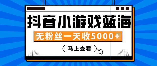 赚钱计划：抖音小游戏蓝海项目，无粉丝一天收入5000+-第一资源站