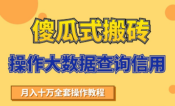 搬砖操作大数据查询信用项目赚钱教程，祝你快速月入6万-第一资源站