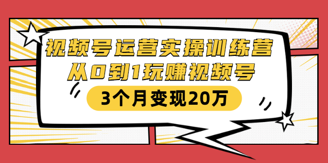视频号运营实操训练营：从0到1玩赚视频号，3个月变现20万-第一资源站