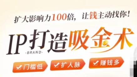 IP打造吸金术：0基础0资源，也能扩大影响力100倍，让钱主动找你！-第一资源站