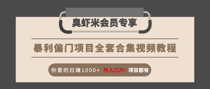 暴利偏门项目全套合集视频教程：你要的日赚1000+月入几万+项目都有-第一资源站