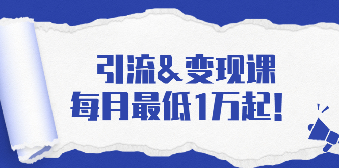 引流&变现课：分享一整套流量方法以及各个渠道收入，每月最低1万起！-第一资源站