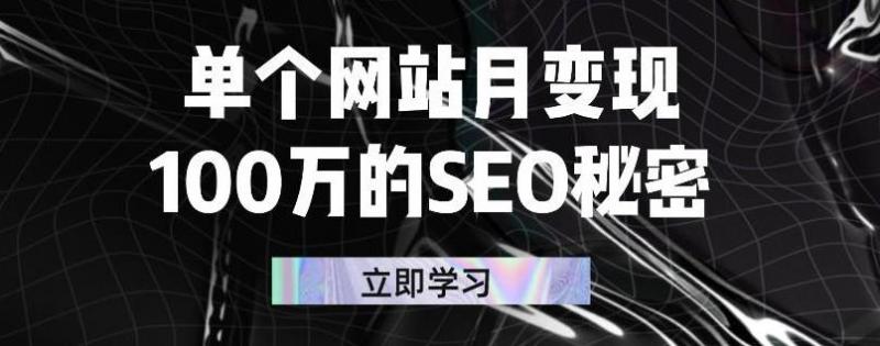 单个网站月变现100万的SEO秘密，百分百做出赚钱站点-第一资源站
