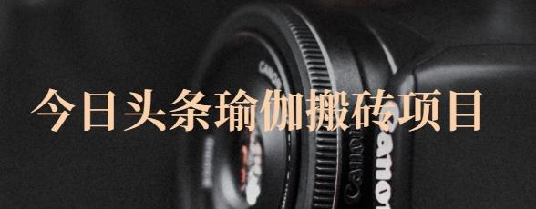 猎人社区·今日头条瑜伽搬砖项目，单号一天几十收入，可以批量操作！-第一资源站