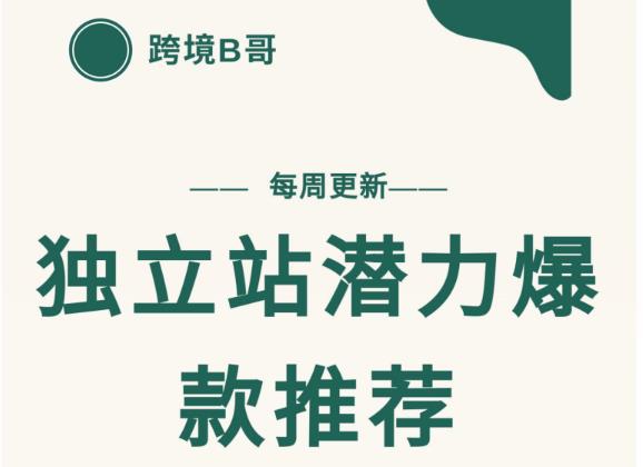 【跨境B哥】独立站潜力爆款选品推荐，测款出单率高达百分之80-第一资源站