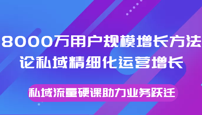 8000万用户规模增长方法论私域精细化运营增长，私域流量硬课助力业务跃迁-第一资源站