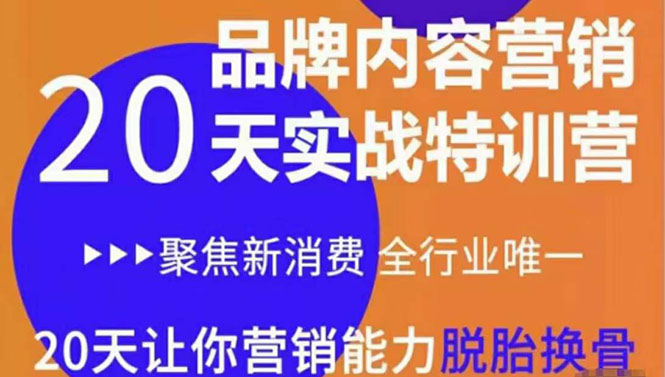 《内容营销实操特训营》20天让你营销能力脱胎换骨（价值3999）-第一资源站