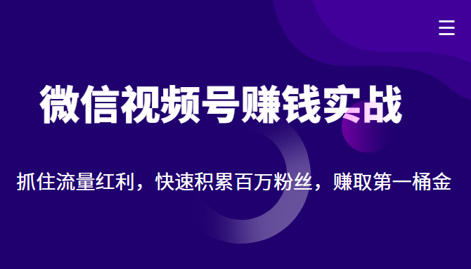 微信视频号赚钱实战：抓住流量红利，快速积累百万粉丝，赚取你的第一桶金-第一资源站