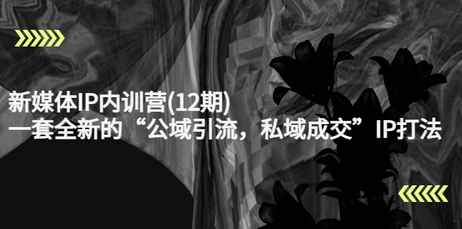 新媒体IP内训营(12期)，一套全新的“公域引流，私域成交”IP打法，直接带走-第一资源站