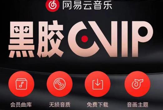 网易云音乐撸黑胶年卡及变现方法，收益可无限放大-第一资源站