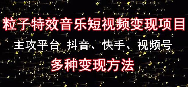 黄岛主《粒子特效音乐短视频变现项目》主攻平台抖音、快手、视频号多种变现方法-第一资源站
