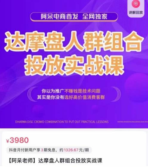阿呆电商·达摩盘人群组合投放实战课，你以为推广不赚钱是技术问题，其实是你没有选好高价值消费客群-第一资源站