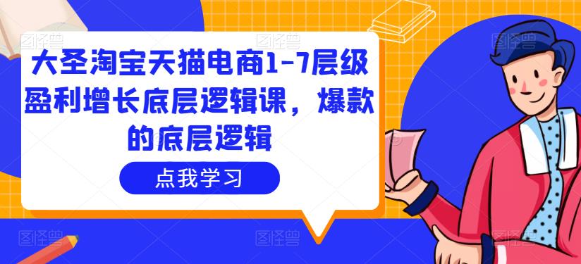大圣淘宝天猫电商1-7层级盈利增长底层逻辑课，爆款的底层逻辑-第一资源站