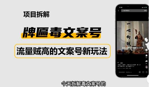 2023抖音快手毒文案新玩法，牌匾文案号，起号快易变现-第一资源站