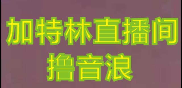 抖音加特林直播间搭建技术，抖音0粉开播，暴力撸音浪，2023新口子，每天800+【素材+详细教程】-第一资源站