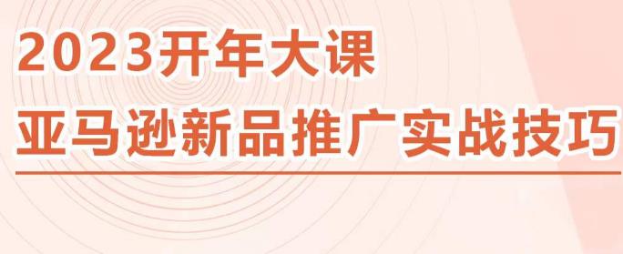 2023亚马逊新品推广实战技巧，线下百万美金课程的精简版，简单粗暴可复制，实操性强的推广手段-第一资源站