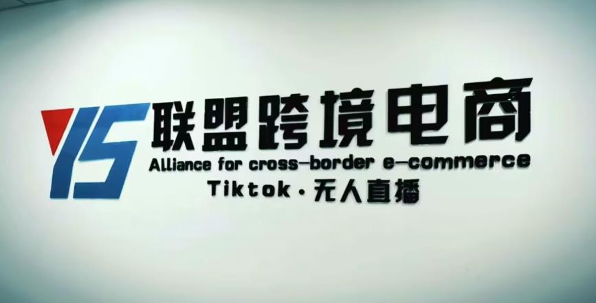 YS联盟·Tiktok无人直播，不出镜不剪辑不拍摄不发货无售后的跨境短视频躺赚玩法-第一资源站