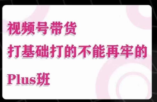 大播汇·视频号带货Puls班，视频号底层逻辑，起号自然流鱼塘等玩法-第一资源站