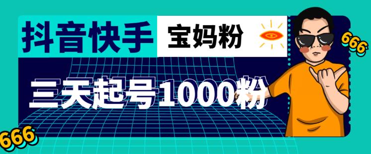 抖音快手三天起号涨粉1000宝妈粉丝的核心方法【详细玩法教程】-第一资源站