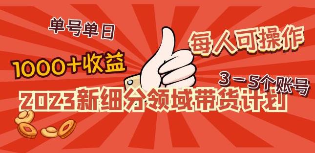 2023新细分领域带货计划：单号单日1000+收益不难，每人可操作3-5个账号-第一资源站