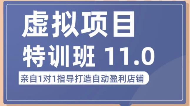 陆明明·虚拟项目特训班（10.0+11.0），0成本获取虚拟素材，0基础打造自动盈利店铺-第一资源站