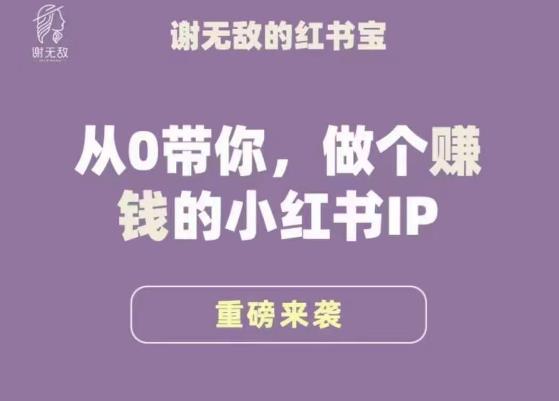 谢无敌·小红书运营大宝典，从0带你做个赚钱的小红书IP-第一资源站