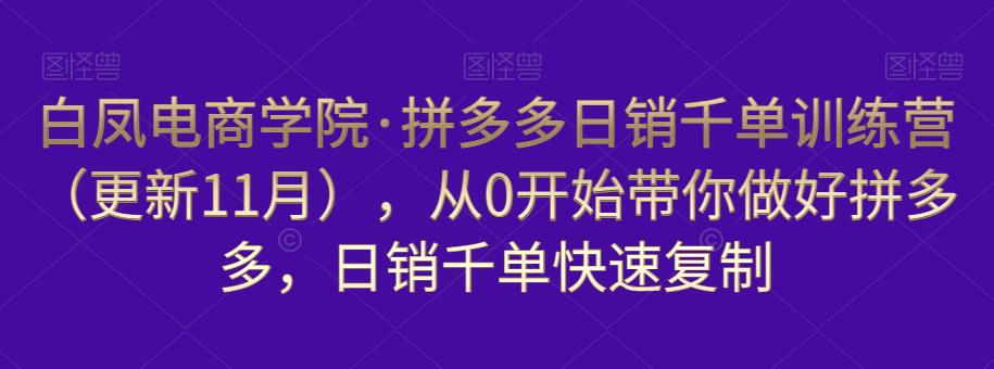 白凤电商学院·拼多多日销千单训练营，从0开始带你做好拼多多，日销千单快速复制（更新知2023年3月）-第一资源站