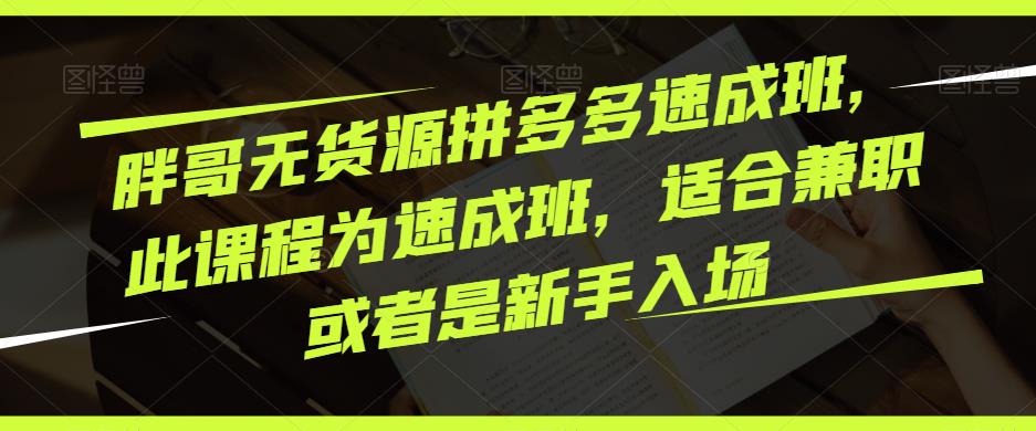胖哥无货源拼多多速成班，此课程为速成班，适合兼职或者是新手入场-第一资源站