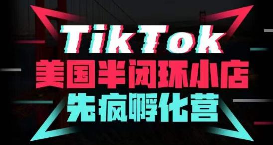 疯人院·TikTok美国半闭环小店孵化营，抢占TikTok美国蓝海市场，开店、运营、带货、投流全实操-第一资源站
