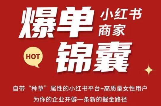 无畏·小红书商家爆单锦囊，掌握小红书各大规则，快速精准抢占行业和市场-第一资源站
