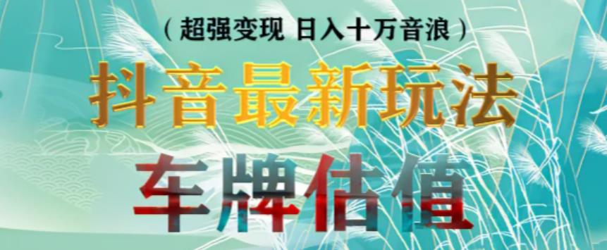 抖音最新无人直播变现直播车牌估值玩法项目，轻松日赚几百+【详细玩法教程】-第一资源站