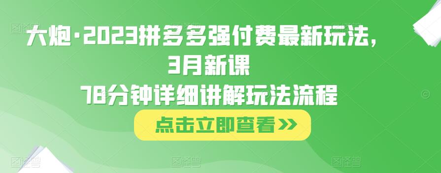 大炮·2023拼多多强付费最新玩法，3月新课​78分钟详细讲解玩法流程-第一资源站