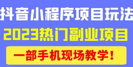 抖音小程序9.0新技巧，2023热门副业项目，动动手指轻松变现-第一资源站