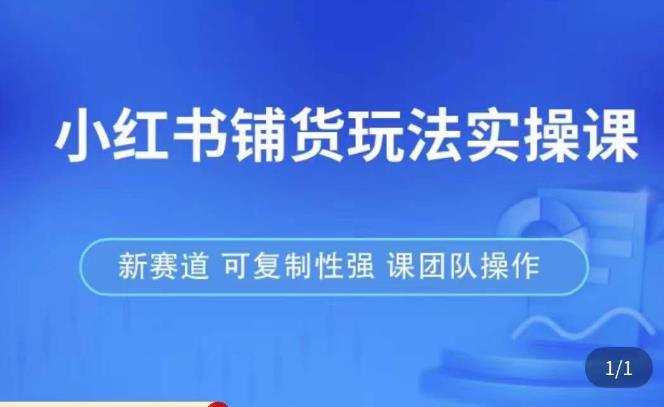 小红书铺货玩法实操课，流量大，竞争小，非常好做，新赛道，可复制性强，可团队操作-第一资源站