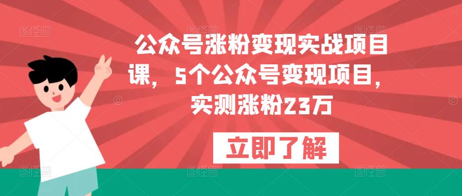 公众号涨粉变现实战项目课，5个公众号变现项目，实测涨粉23万-第一资源站