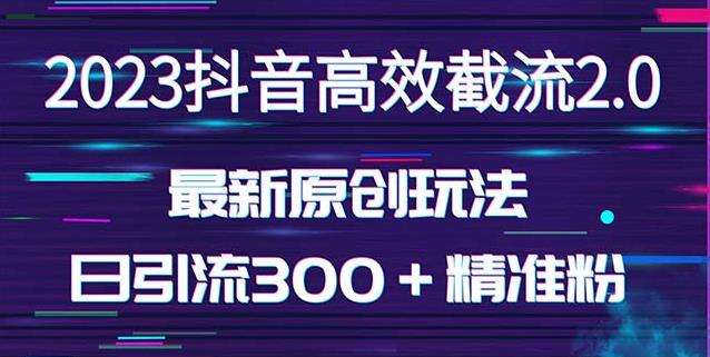 日引300＋创业粉，独家抖音高效截流2.0玩法（价值1280）-第一资源站