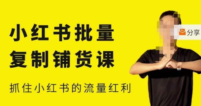 张宾·小红书批量复制铺货课，小红书0-1快速起号变现玩法，抓住小红书的流量红利（更新2023年3月）-第一资源站