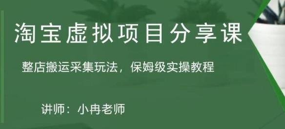 淘宝虚拟整店搬运采集玩法分享课：整店搬运采集玩法，保姆级实操教程-第一资源站