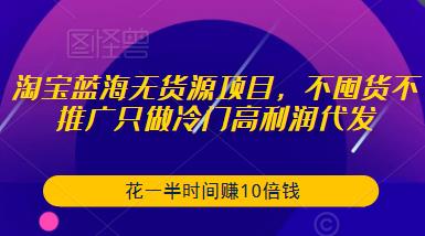 淘宝蓝海无货源项目，不囤货不推广只做冷门高利润代发，花一半时间赚10倍钱-第一资源站