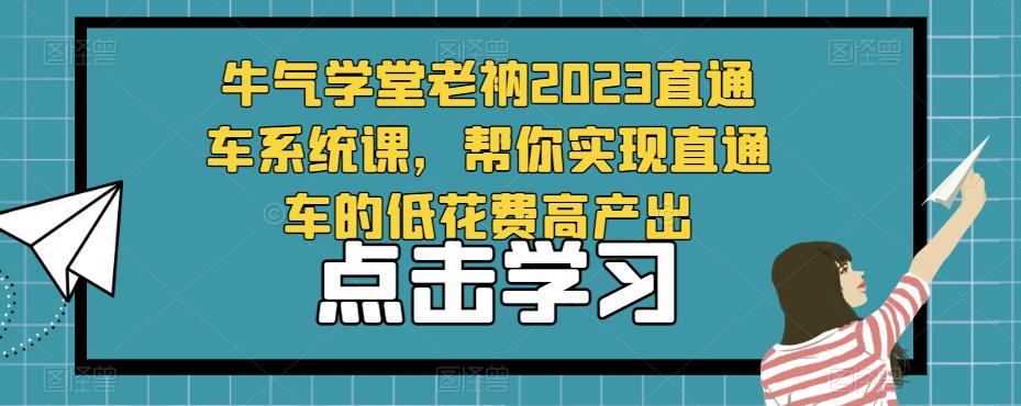 牛气学堂老衲2023直通车系统课，帮你实现直通车的低花费高产出-第一资源站