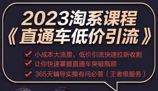 2023直通车低价引流玩法课程，小成本大流量，低价引流快速拉新收割，让你快速掌握直通车突破瓶颈-第一资源站
