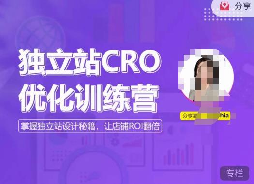 独立站CRO优化训练营，掌握独立站设计秘籍，打造高转化的独立站，让店铺ROI翻倍-第一资源站
